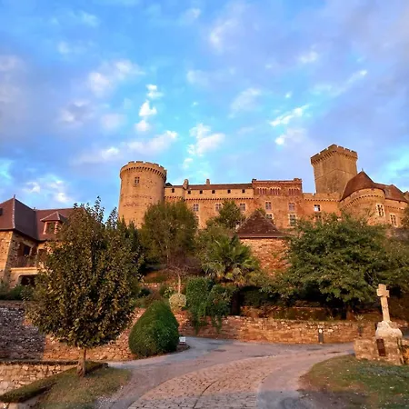 Feriehus Nuitee Au Pied Du Chateau De Castelnau